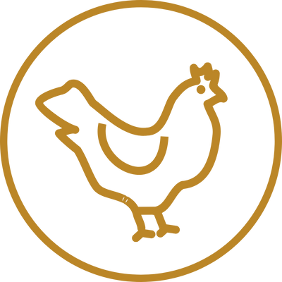100% de pollo