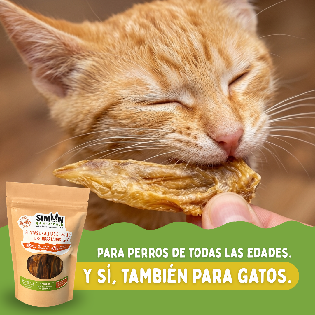 Snack para Mascota - Alita de Pollo Deshidratada