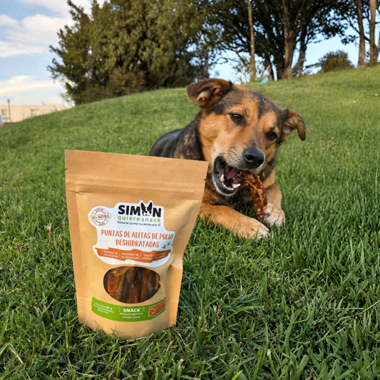 Snack para Mascota - Alita de Pollo Deshidratada